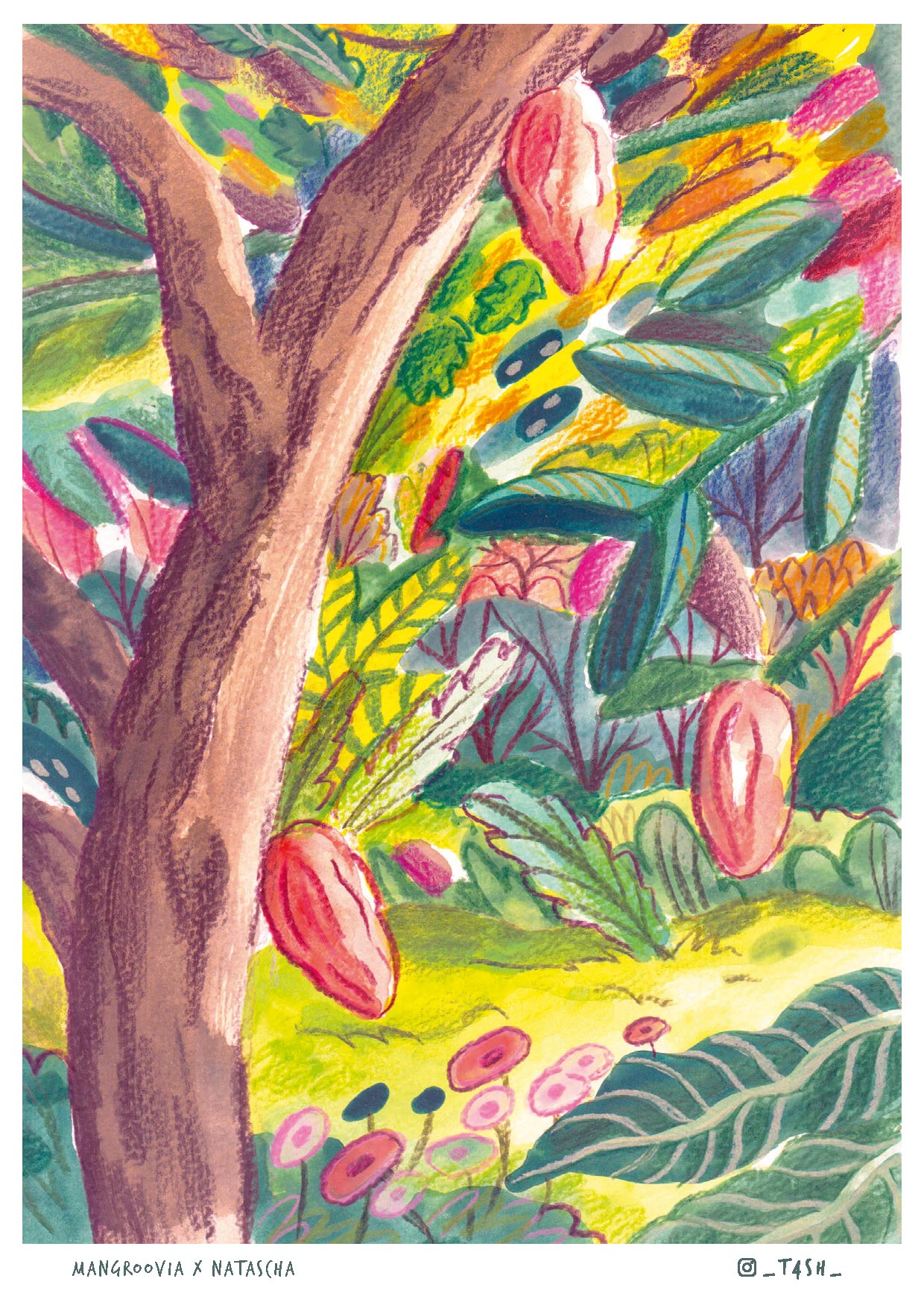 Postkarten-Edition „Cacaotales Mexiko“ – handgemalte Motive aus Chiapas & Tabasco