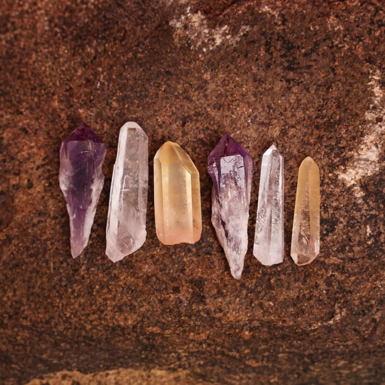 Organic Sweet Tooth Set