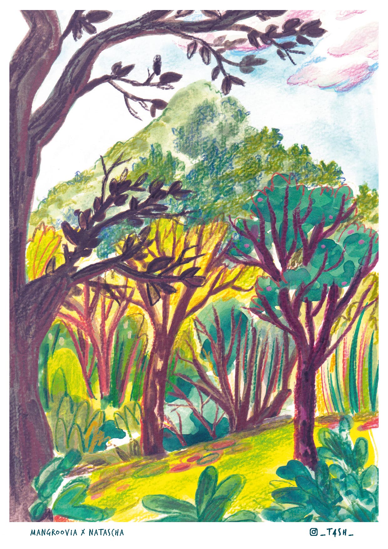 Postkarten-Edition „Cacaotales Mexiko“ – handgemalte Motive aus Chiapas & Tabasco