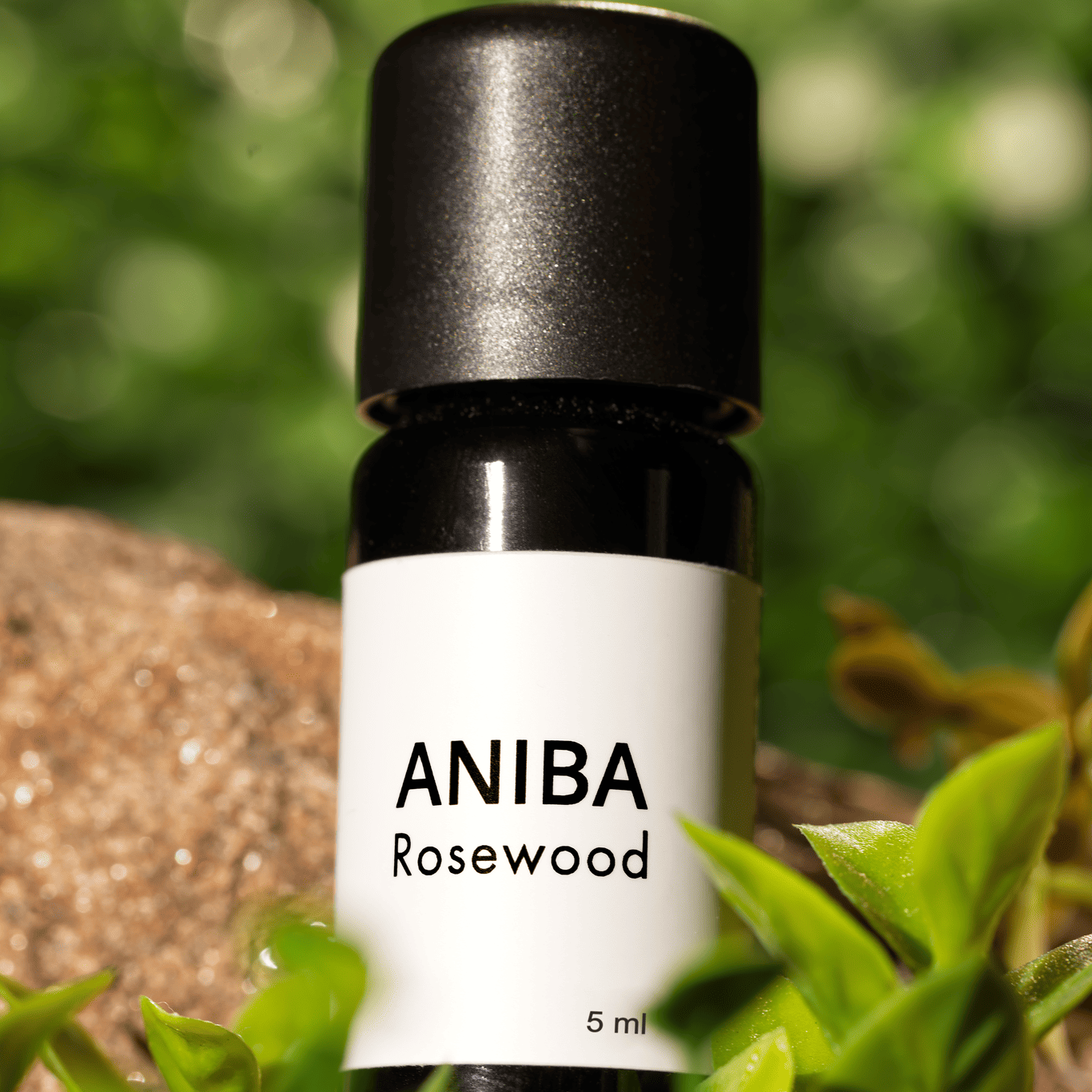 Aniba Rosenholzöl 5 ml mit Waldelementen aus dem peruanischen Regenwald