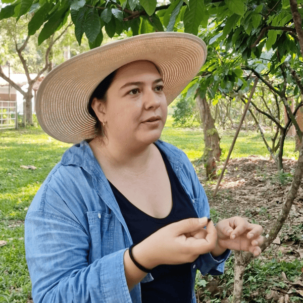 Zeremonieller Kakao ALMA BLANCA – sortenreiner weißer Criollo aus Frauenhand