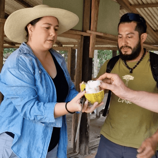 Cremige Kakaopaste ALMA BLANCA – feine Textur aus weißem Criollo Kakao