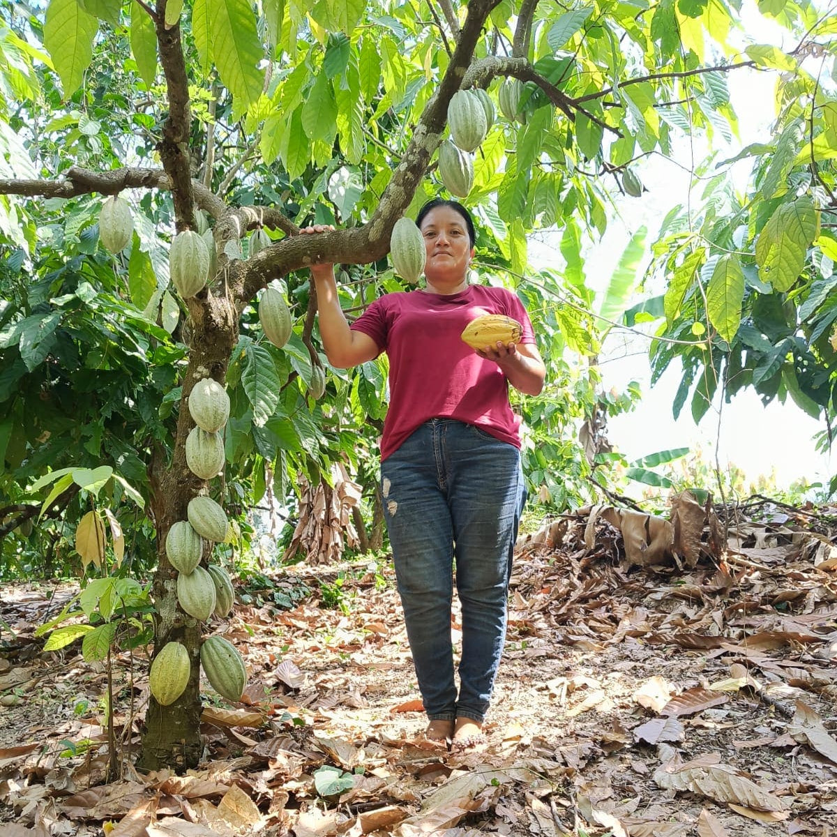 Huimanguillo - Edelkakaopaste aus Zapatista Kooperative