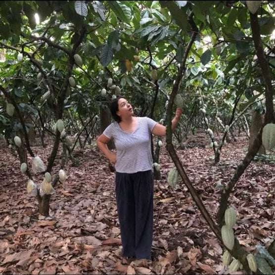 Agroforstgarten in Comalcalco Tabasco – Herkunft des Zeremoniekakaos ALMA BLANCA