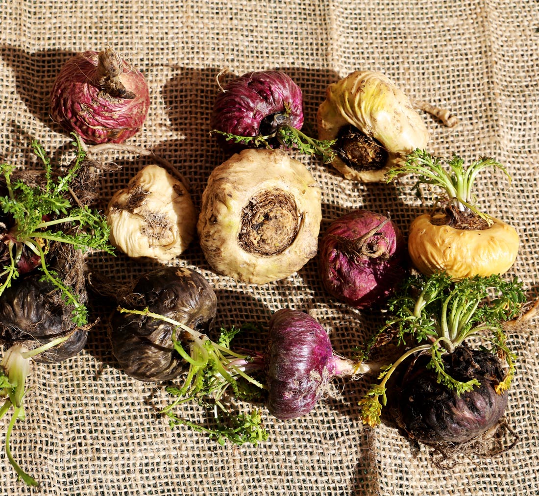 Les Bienfaits De La Maca